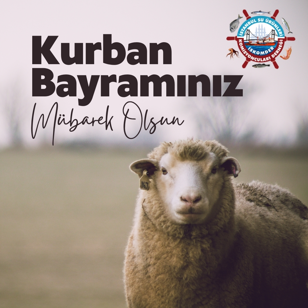 Kurban Bayramımız Mübarek Olsun